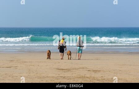 Un couple en train de marcher 2 chiens sur Penhale Rolvenden plage Cornwall England uk Banque D'Images