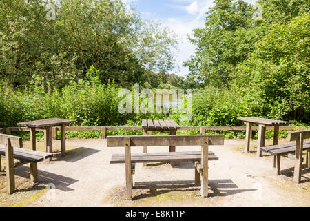 Tables de pique-nique et coin salon extérieur avec bancs en bois dans la région de Woodland à Rufford Abbey Country Park, Lancashire, England, UK Banque D'Images