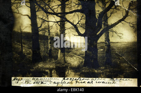 Le 1er décembre 2009 - Carte postale imprimée en Russie montre paysage d'automne, vers 1905 © Igor Golovniov/ZUMA/ZUMAPRESS.com/Alamy fil Live News Banque D'Images