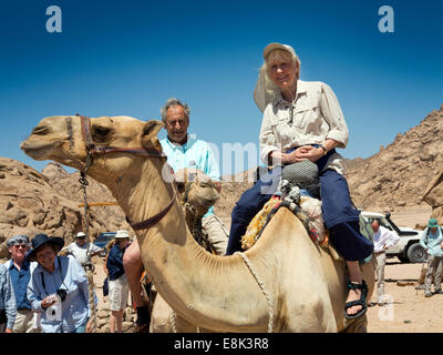 L'Egypte, le Sinaï, Sharm el Sheikh, le Parc National de Nabq, premier touriste bénéficiant du chameau Banque D'Images