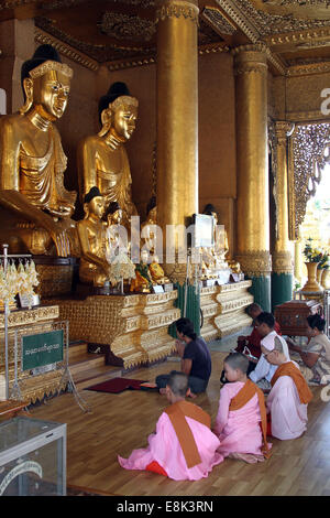 Des religieuses et d'autres prier à la pagode Shwedagon, Rangoon, Birmanie (Myanmar) Banque D'Images