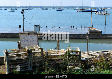 West Mersea les huîtres Banque D'Images