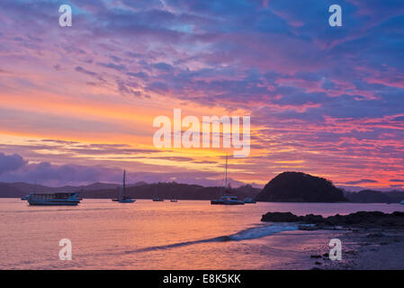 Nouvelle Zélande, île du Nord, Paihia, Bay of Islands Lever du Soleil (grand format formats disponibles) Banque D'Images