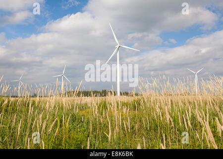 Les éoliennes dans les champs. Le comté de Grey, en Ontario, Canada. Banque D'Images