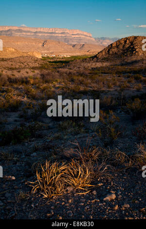 De Boquillas Canyon Rim et de plantes du désert au coucher du soleil. Banque D'Images