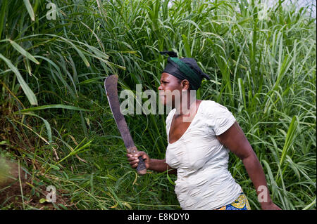 Le RWANDA, NYAMAGABE : Marie Mukadera vit dans l'un des districts les plus pauvres du Rwanda. Elle a une petite maison et un lopin de terre. Banque D'Images