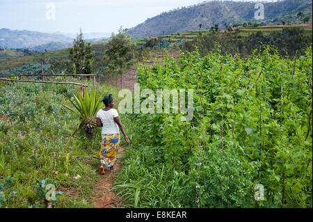 Le RWANDA, NYAMAGABE : Marie Mukadera vit dans l'un des districts les plus pauvres du Rwanda. Elle a une petite maison et un lopin de terre. Banque D'Images