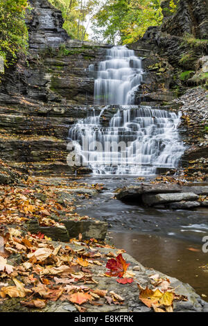 Escalier du géant en cascade sur la Gorge Cascadilla Campus Cornell en automne à Ithaca, New York Banque D'Images