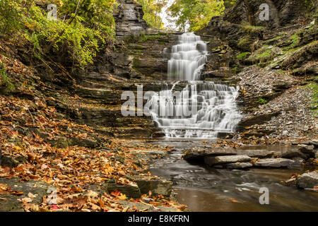 Escalier du géant en cascade sur la Gorge Cascadilla Campus Cornell en automne à Ithaca, New York Banque D'Images