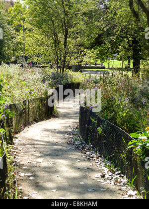 Chemin à travers jardin commun dans un parc public à Hyde Park au début de l'automne dans la région de Chicago, Illinois, USA. Banque D'Images