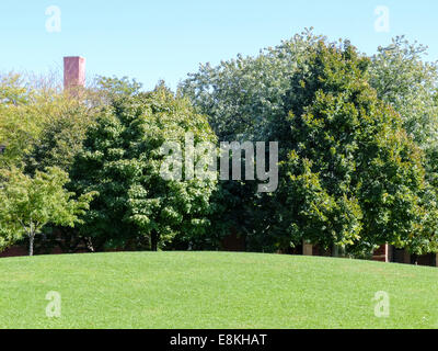 Pente douce avec de l'herbe coupée et une ligne d'arbres en arrière-plan. Banque D'Images