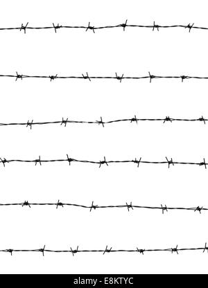 Fil de fer barbelé Banque D'Images