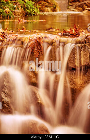 Belle petite cascade dans la forêt, automne, paysage naturel magnifique, rivière qui coule sur les pierres Banque D'Images