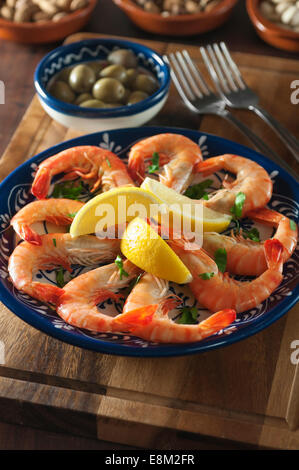 A la plancha de gambas. Langoustines style espagnol Banque D'Images