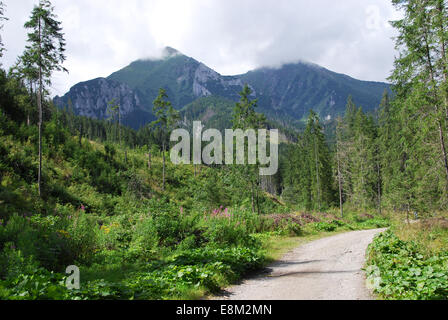 Belianske Tatras est une montagne dans les Tatras en Slovaquie qui font partie de l'Ouest Intérieur Carpates. Banque D'Images