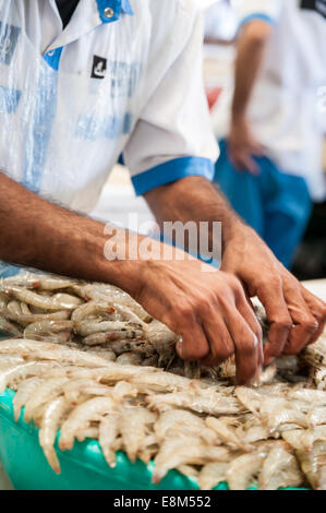 Le marché aux poissons Dubai, Émirats Arabes Unis Banque D'Images
