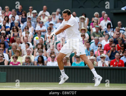 Milos Raonic (CAN),de Wimbledon 2014, Londres, Angleterre Banque D'Images