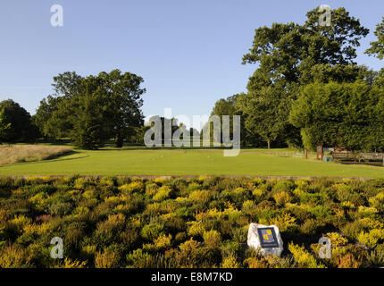 Vue sur le lit de la fleur du centenaire au 1er Départs et allées à Shirley Park Golf Club Croydon Surrey England Banque D'Images