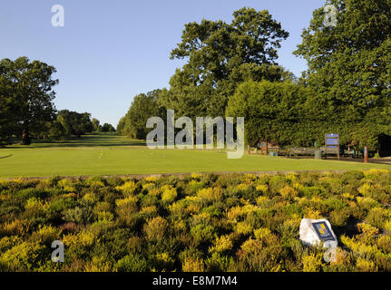 Vue sur le lit de la fleur du centenaire au 1er Départs et allées à Shirley Park Golf Club Croydon Surrey England Banque D'Images