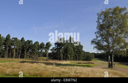 Vue depuis le 1er tee du parcours rouge Le Berkshire Ascot Berkshire Angleterre Golf Club Banque D'Images