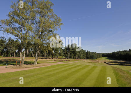 Vue depuis le 1er tee du parcours rouge Le Berkshire Ascot Berkshire Angleterre Golf Club Banque D'Images