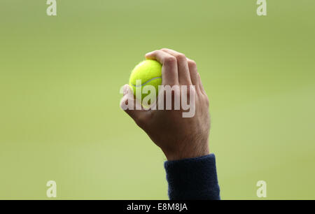 Main de ballboy holding tennis ballon au tournoi de Wimbledon 2014,Londres,Angleterre Banque D'Images