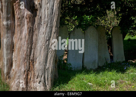 Vieux cimetière pierres tombales commun southampton hampshire angleterre Banque D'Images