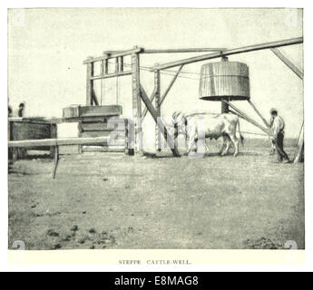 Une illustration de 1891 montrant un puits de bétail de steppe en Russie, représentant la vie rurale et les pratiques agricoles dans la steppe russe. Banque D'Images