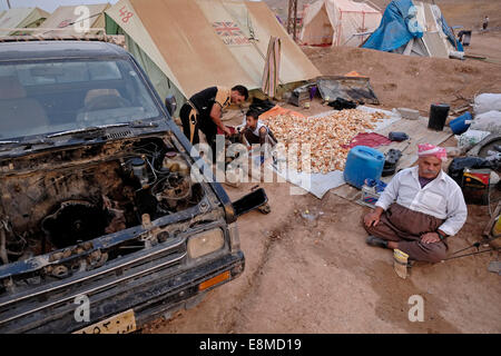 Yazidi est un homme dans un camp de réfugiés pour les personnes déplacées de la secte minoritaire Yazidi qui ont été chassés de leurs foyers à Sinjar par des militants de l'État islamique dans la ville de Zakho, dans le nord de l'Irak. Banque D'Images