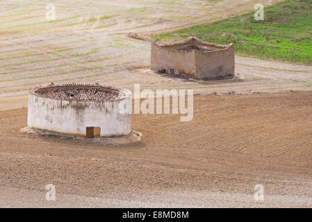 Dovecotse au milieu d'un champ cultivé en Castille et Leon, Espagne Banque D'Images