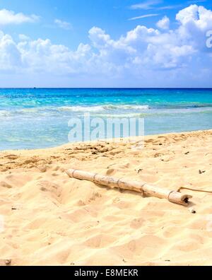 Dans un paysage de la mer des Caraïbes ( Playacar Playa Del Carmen, Mexique ) Banque D'Images