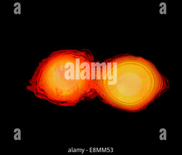 Une paire d'étoiles à neutrons en collision, la fusion et la formation d'un trou noir. Une étoile à neutrons est le cœur comprimé à la traîne lorsqu'un s Banque D'Images