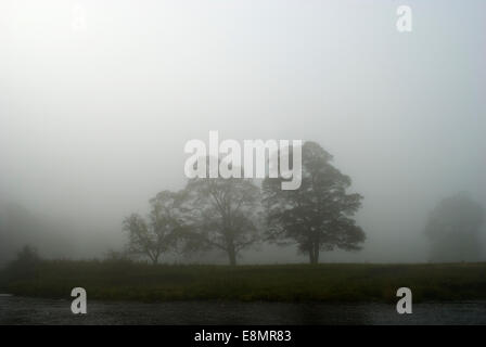 Gainford, comté de Durham, Royaume-Uni. 11 octobre 2014. La brume et le brouillard le long du cours supérieur de la Rivière Tees, dans le comté de Durham. La brume et le brouillard devrait clairement durant le samedi mais plus loin la brume et le brouillard est prévu pour dimanche matin pour de nombreuses régions du nord-est. Crédit : Robert Smith/Alamy Live News Banque D'Images