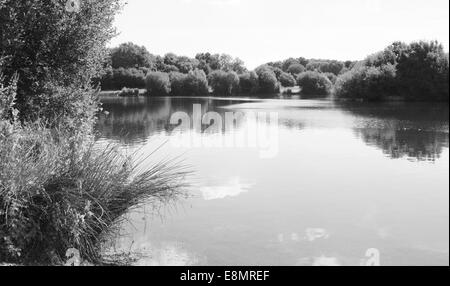 Barden Lake à Haysden Country Park, Tonbridge - traitement monochrome Banque D'Images