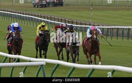 Newmarket, au Royaume-Uni. Oct 11, 2014. Cesarewitch Betfred Newmarket jour. Sous la direction de James Doyle commémorative la gagnante Objectifs Betfred Automne Galore Stakes (groupe 3) Credit : Action Plus Sport/Alamy Live News Banque D'Images