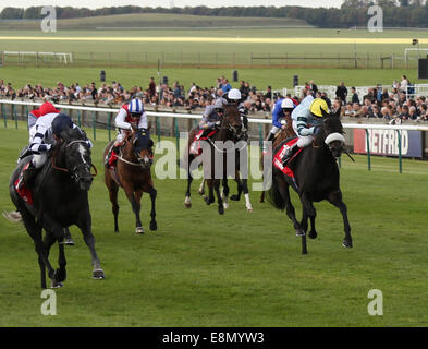 Newmarket, au Royaume-Uni. Oct 11, 2014. Cesarewitch Betfred Newmarket jour. Farquhar en vertu de Luke Morris remportant la télévision Betfred Stakes (Patrimoine Handicap) : Action de Crédit Plus Sport/Alamy Live News Banque D'Images