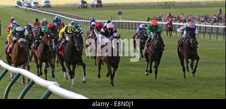 Newmarket, au Royaume-Uni. Oct 11, 2014. Cesarewitch Betfred Newmarket jour. Big Easy sous Tom Queally remportant le patrimoine (Cesarewitch Betfred Handicap) : Action de Crédit Plus Sport/Alamy Live News Banque D'Images