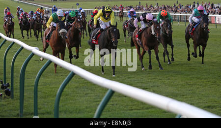 Newmarket, au Royaume-Uni. Oct 11, 2014. Cesarewitch Betfred Newmarket jour. Big Easy sous Tom Queally remportant le patrimoine (Cesarewitch Betfred Handicap) : Action de Crédit Plus Sport/Alamy Live News Banque D'Images