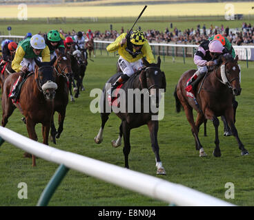 Newmarket, au Royaume-Uni. Oct 11, 2014. Cesarewitch Betfred Newmarket jour. Big Easy sous Tom Queally remportant le patrimoine (Cesarewitch Betfred Handicap) : Action de Crédit Plus Sport/Alamy Live News Banque D'Images