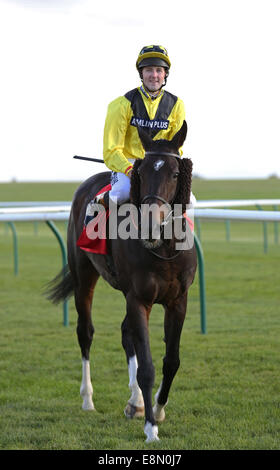 Newmarket, au Royaume-Uni. Oct 11, 2014. Cesarewitch Betfred Newmarket jour. Big Easy sous Tom Queally remportant le patrimoine (Cesarewitch Betfred Handicap) : Action de Crédit Plus Sport/Alamy Live News Banque D'Images