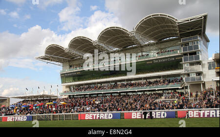 Newmarket, au Royaume-Uni. Oct 11, 2014. Cesarewitch Betfred Newmarket jour. Peuplement principal : Action Crédit avec des spectateurs Plus Sport/Alamy Live News Banque D'Images