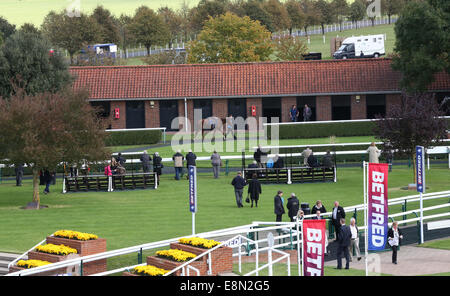 Newmarket, au Royaume-Uni. Oct 11, 2014. Cesarewitch Betfred Newmarket jour. La parade ring Crédit : zone de visualisation Plus Sport Action/Alamy Live News Banque D'Images