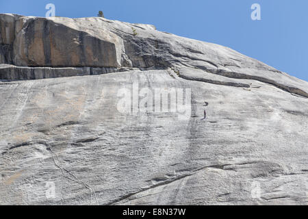 Les grimpeurs dans le Yosemite National Park, le grand rocher de granit Banque D'Images