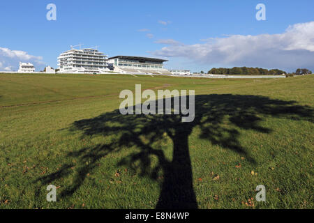 Epsom Downs, Surrey, UK. 11 octobre 2014. Blue Skies alternent avec des cumulonimbus dramatique nuages de pluie sur Epsom Downs Race Course. Avec le soleil qui brille l'ombre d'un seul arbre de chêne se répand à travers les dunes en face de la tribune. Credit : Julia Gavin UK/Alamy Live News Banque D'Images