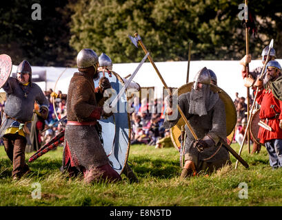 Battle, East Sussex, UK. Oct 11, 2014. La bataille de Hastings, re-enactment a tenu aujourd'hui 11/10/14 par English Heritage à Battle Abbey dans l'East Sussex. Crédit : Jim Holden/Alamy Live News Banque D'Images