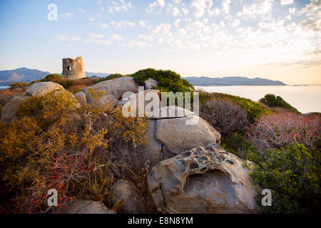 Tour côtière de Porto Giunco, Villasimius, Sardaigne, Italie Banque D'Images