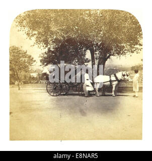 Cette illustration du livre de Weld de 1862 représente un chariot avec des poneys Pegu en Inde. Le croquis montre une vue historique du type de calèche utilisé pour le transport, accompagné des poneys emblématiques Pegu, originaires de la région. Banque D'Images