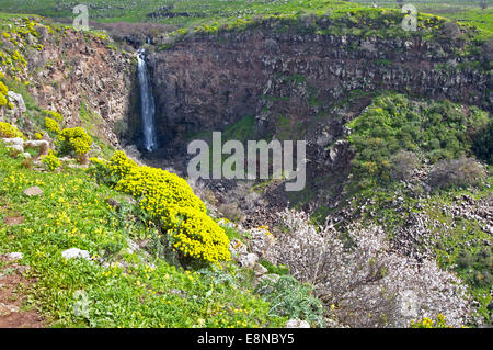Gamla falls, sur le plateau du Golan, Israël Banque D'Images