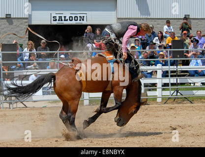 Rodeo bareback Riding Banque D'Images