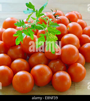 De plus en plus de germes de printemps, la tomate coupée en deux, la récolte de tomates Banque D'Images